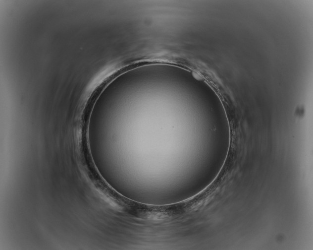 X0000101090344200807031731