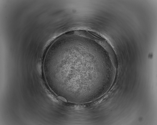 X0000101090345200807031731