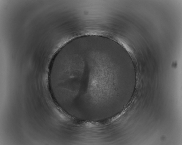 X0000101090346200807031731