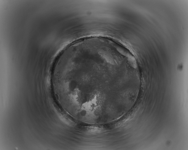 X0000101090347200807031731