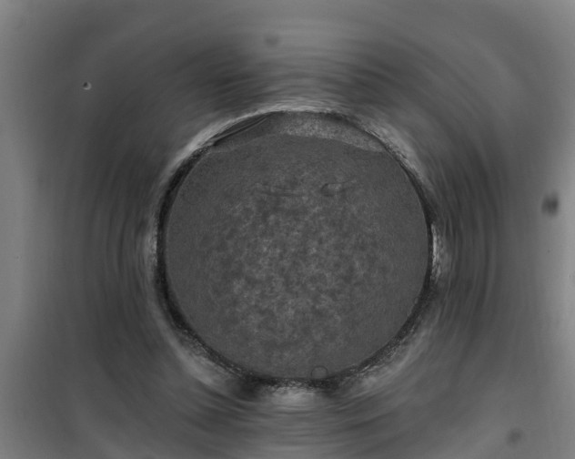 X0000101090348200807031731