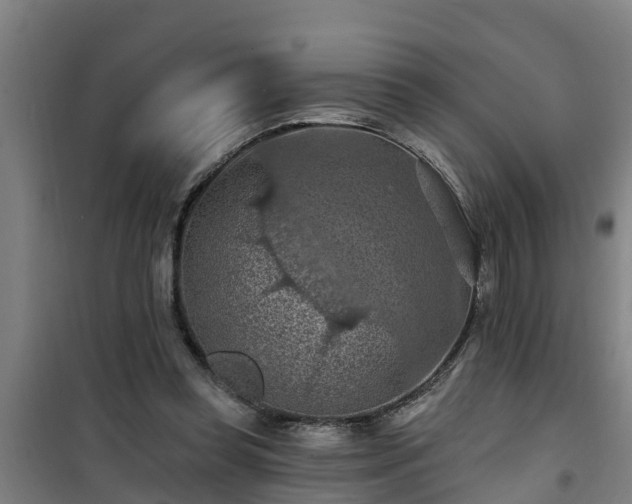 X0000101090349200807031731