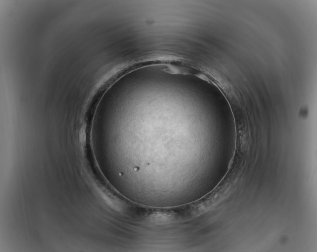 X0000101090350200807031731