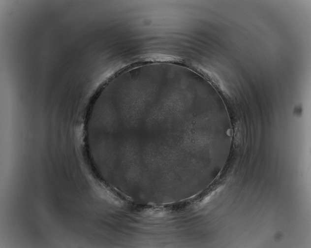 X0000101090351200807031731