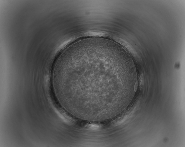 X0000101090352200807031731