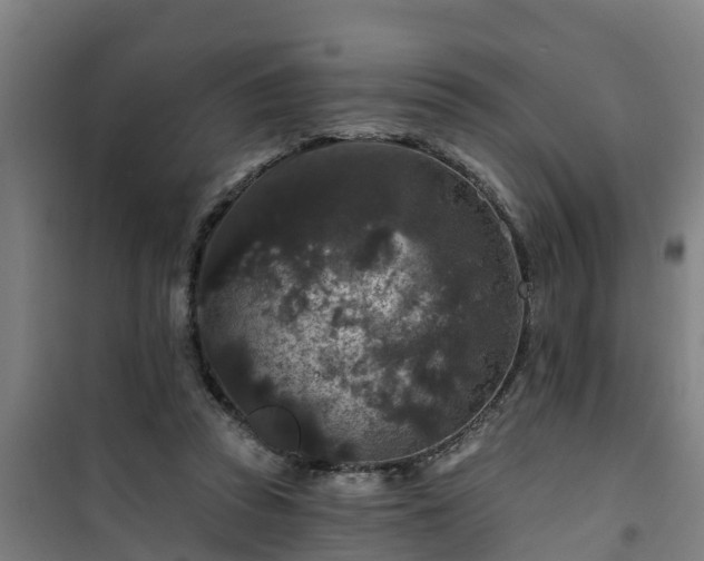 X0000101090353200807031731