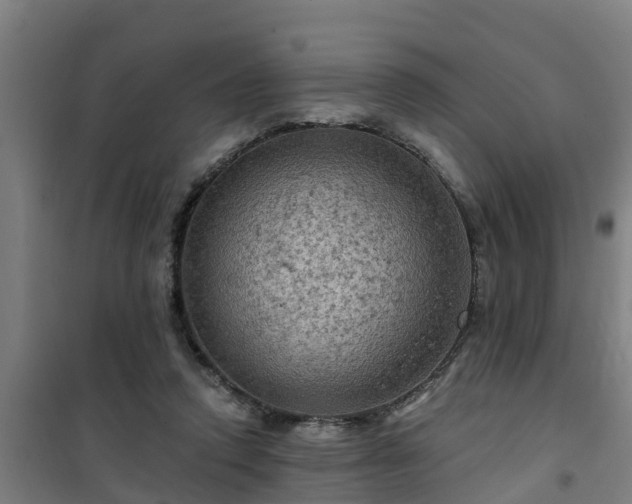 X0000101090354200807031731