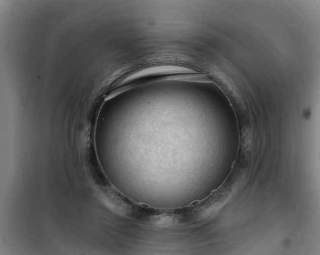 X0000101090356200807031731