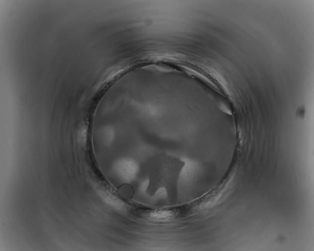 X0000101090357200807031732