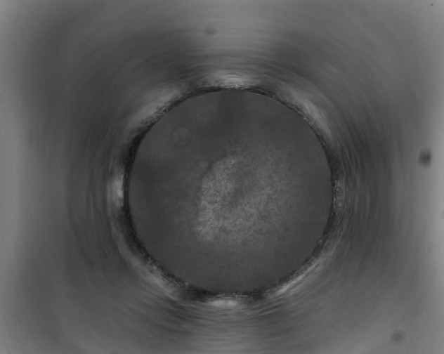 X0000101090358200807031732