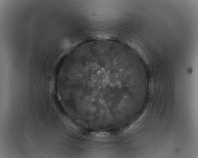 X0000101090359200807031732