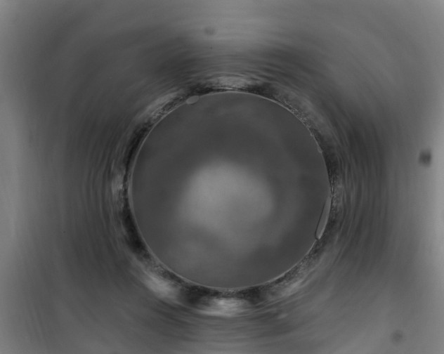 X0000101090360200807031732