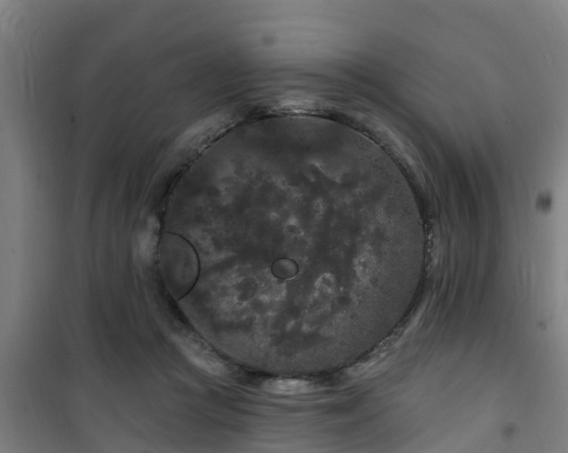 X0000101090361200807031732