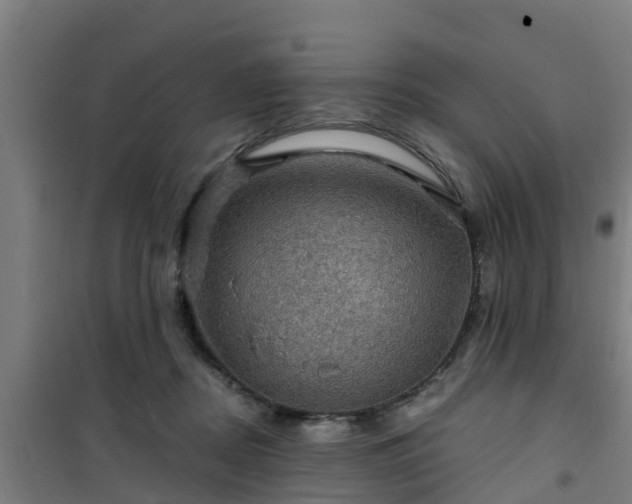 X0000101090362200807031732