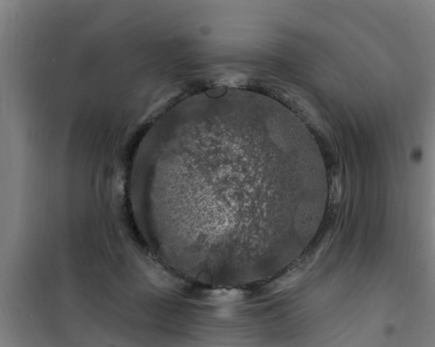 X0000101090363200807031732