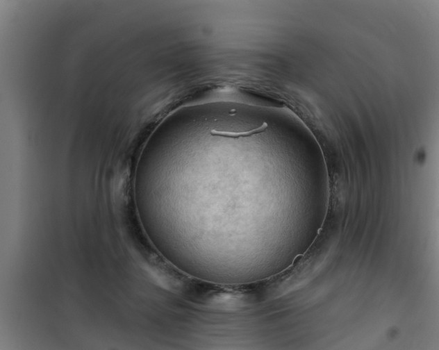 X0000101090364200807031732