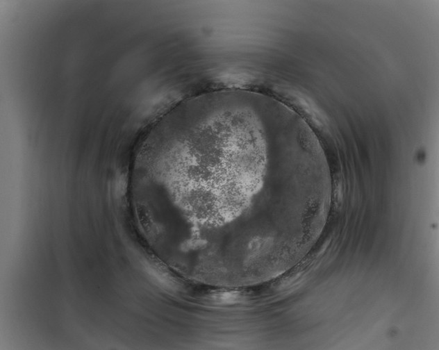 X0000101090365200807031732