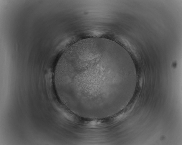 X0000101090366200807031732