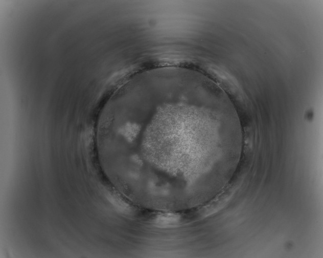 X0000101090369200807031732