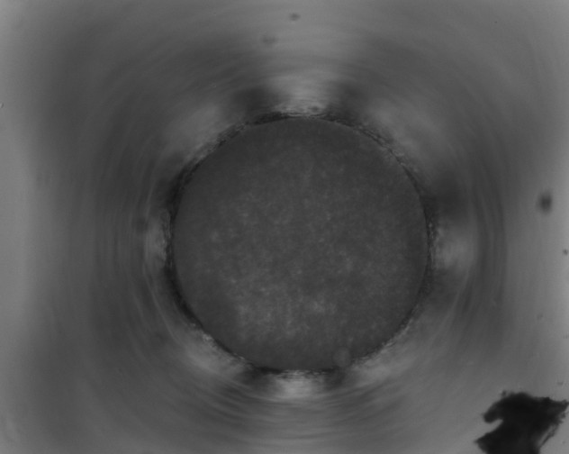 X0000101090370200807031732