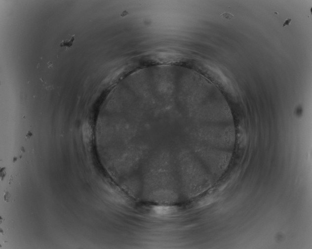 X0000101090371200807031732