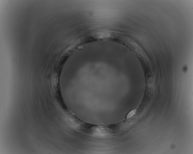 X0000101090372200807031732