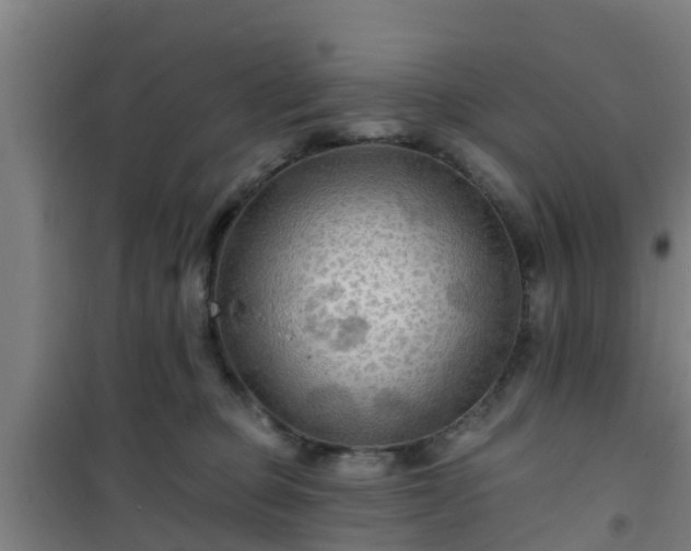 X0000101090373200807031732