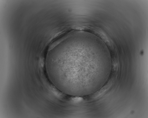 X0000101090374200807031732