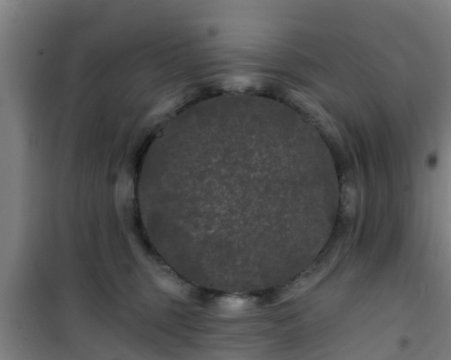 X0000101090375200807031732