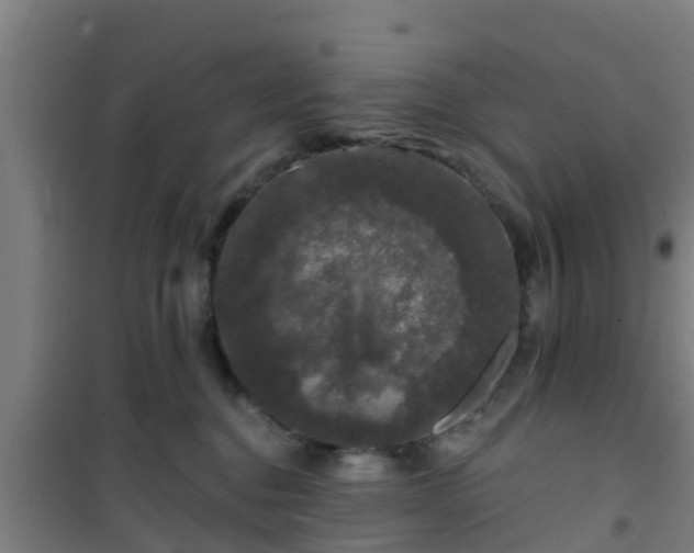 X0000101090376200807031732