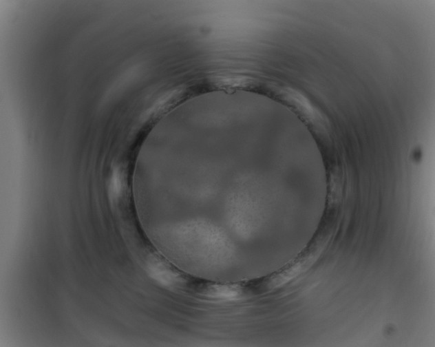 X0000101090377200807031732