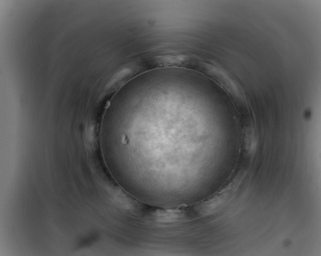 X0000101090378200807031732