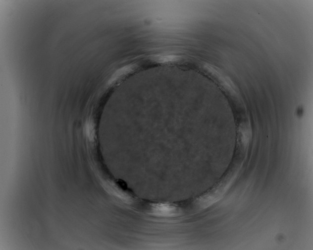 X0000101090380200807031732