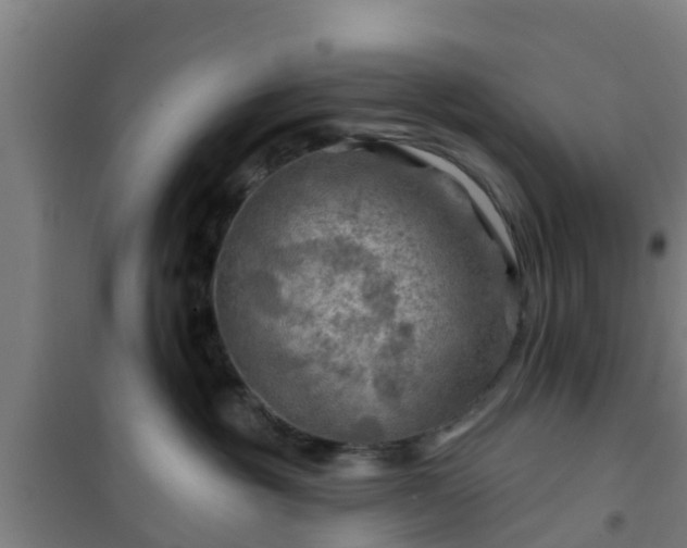 X0000101090381200807031732