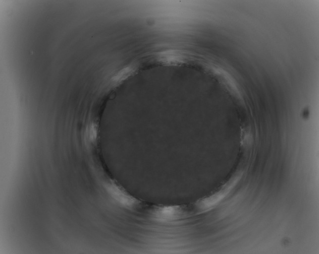 X0000101090382200807031732