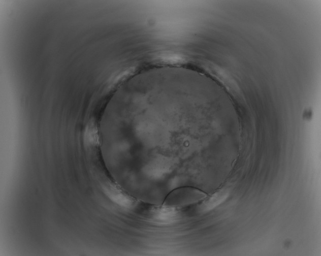 X0000101090384200807031732