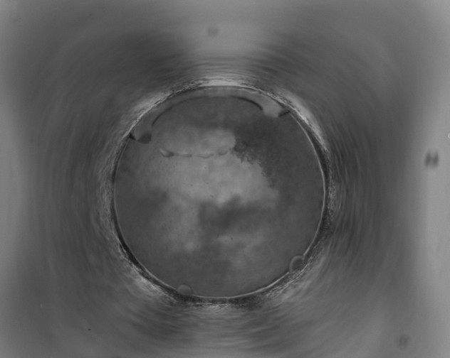 X0000101090385200807031731