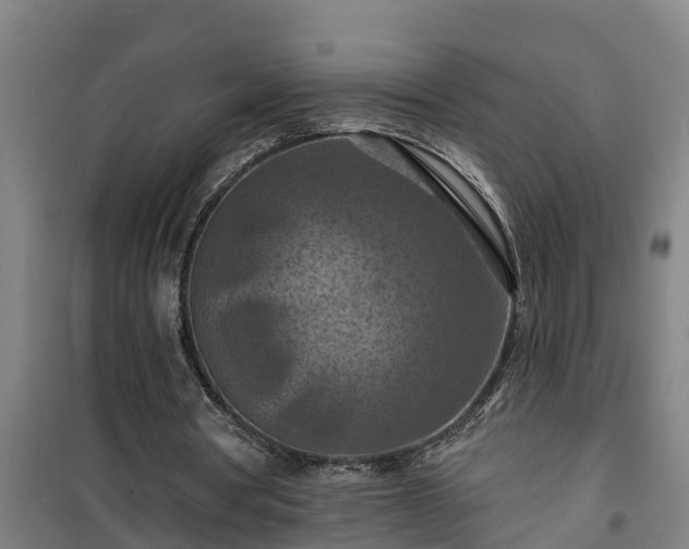 X0000101090386200807031731