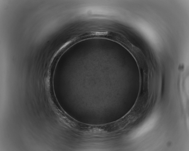 X0000101090387200807031731