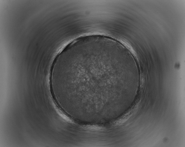 X0000101090389200807031731