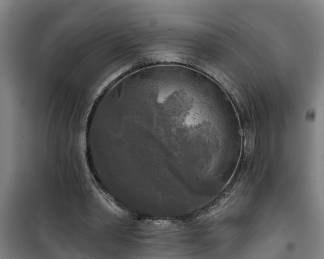 X0000101090390200807031731