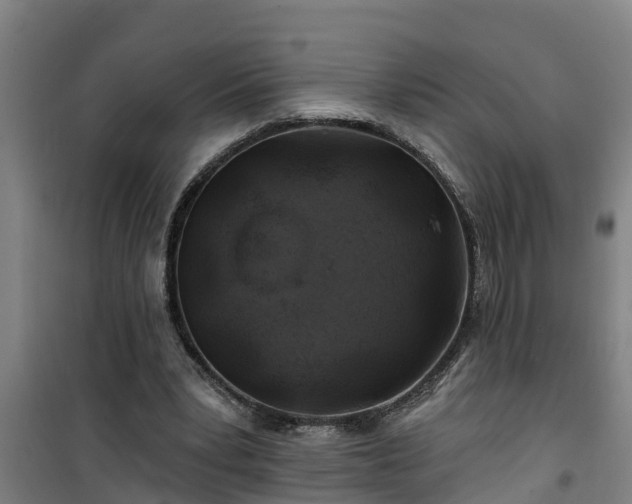 X0000101090391200807031731