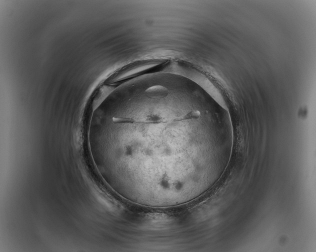 X0000101090392200807031731