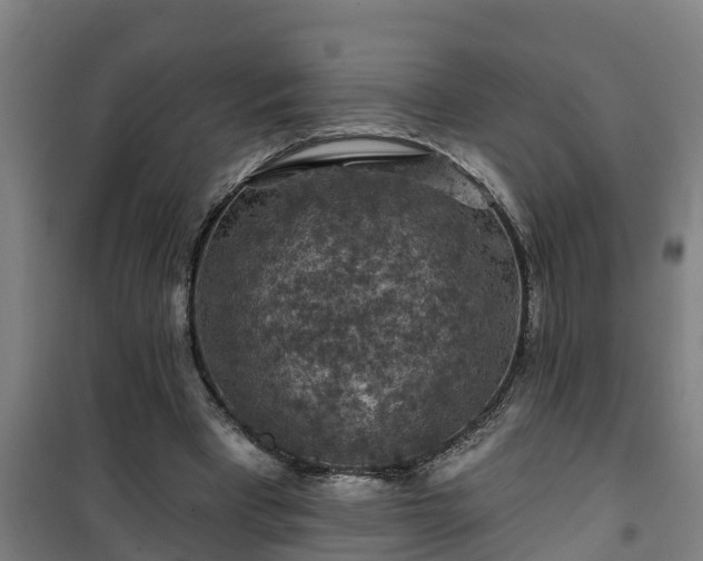 X0000101090393200807031731