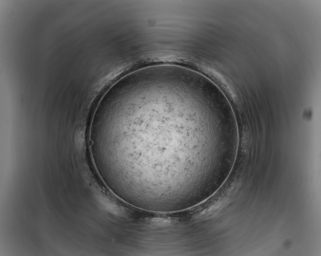 X0000101090394200807031731