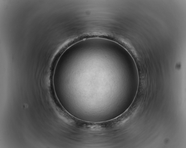 X0000101090395200807031731