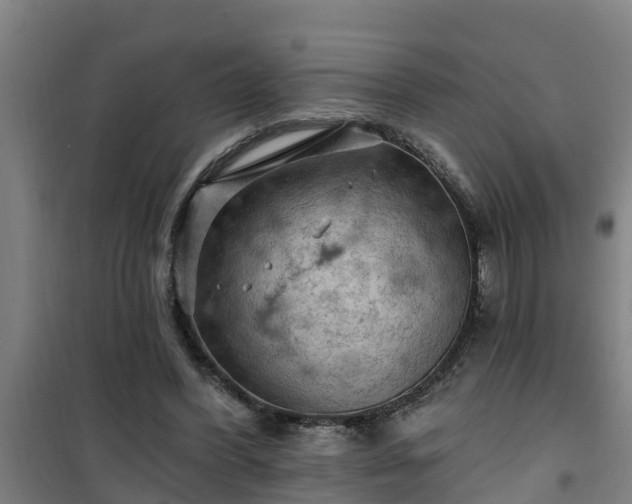 X0000101090396200807031731