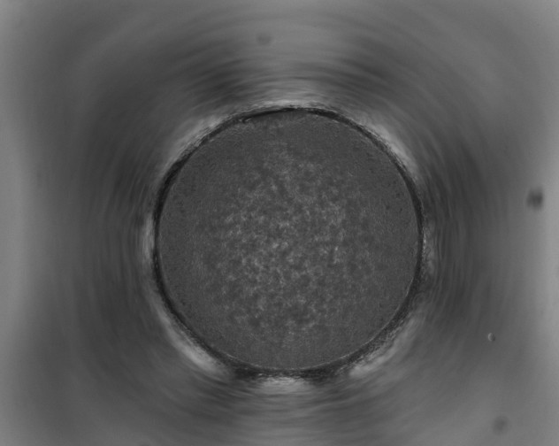 X0000101090397200807031731