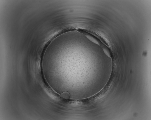 X0000101090398200807031731