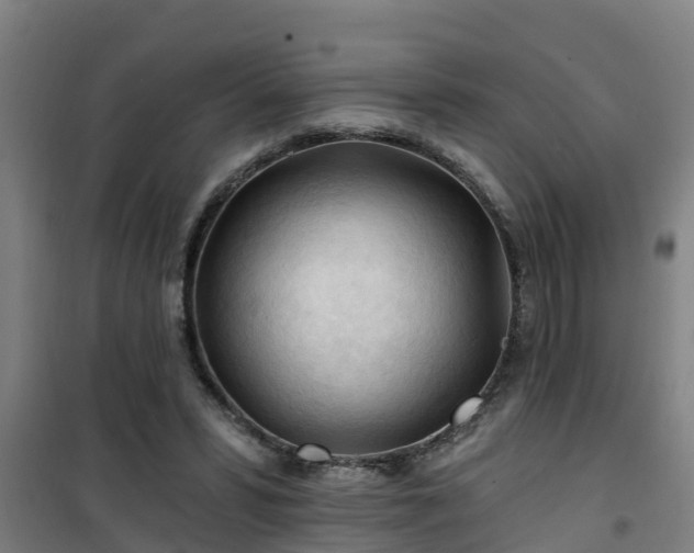 X0000101090399200807031731